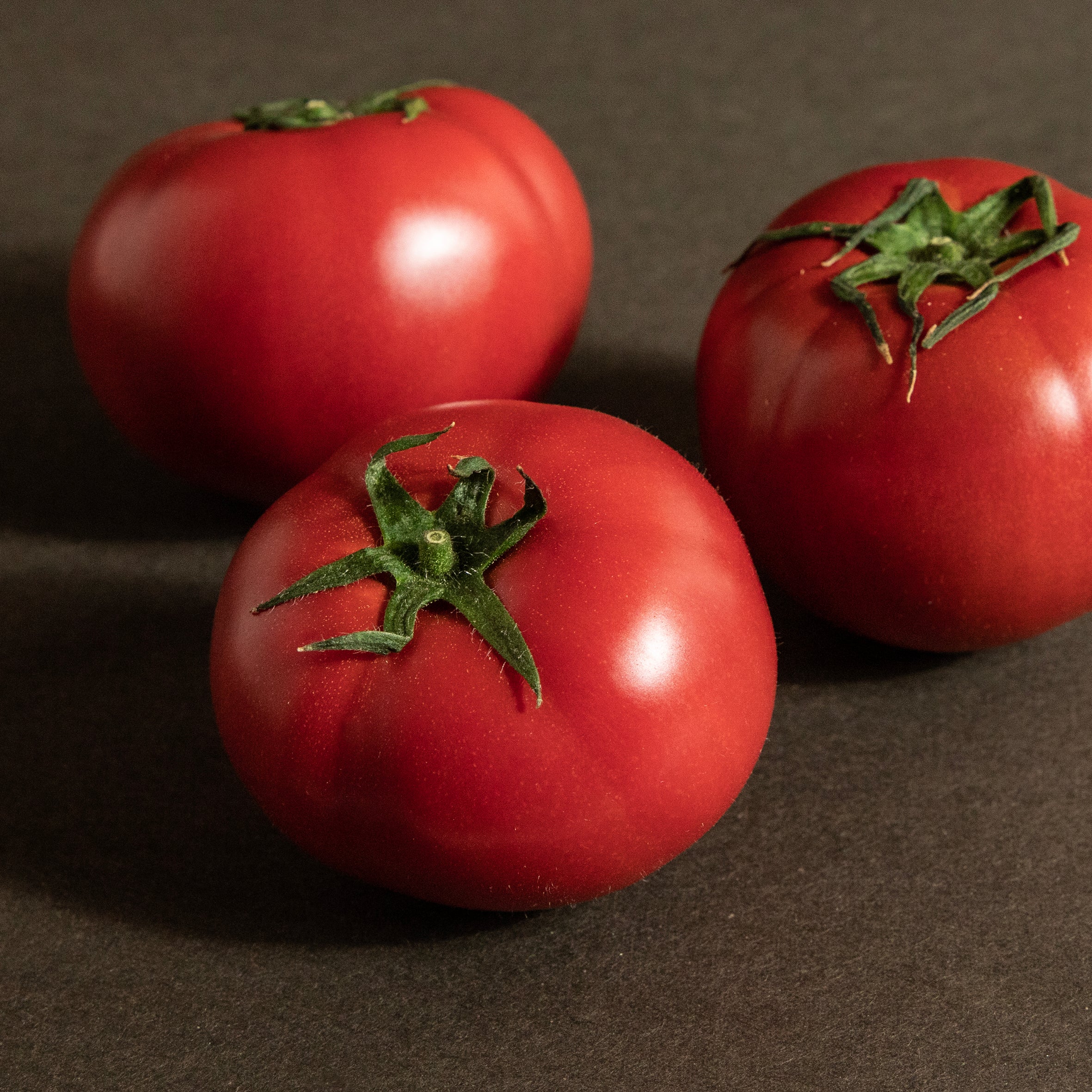 とまと MG_9932takumi02.jpg?v=1681798376