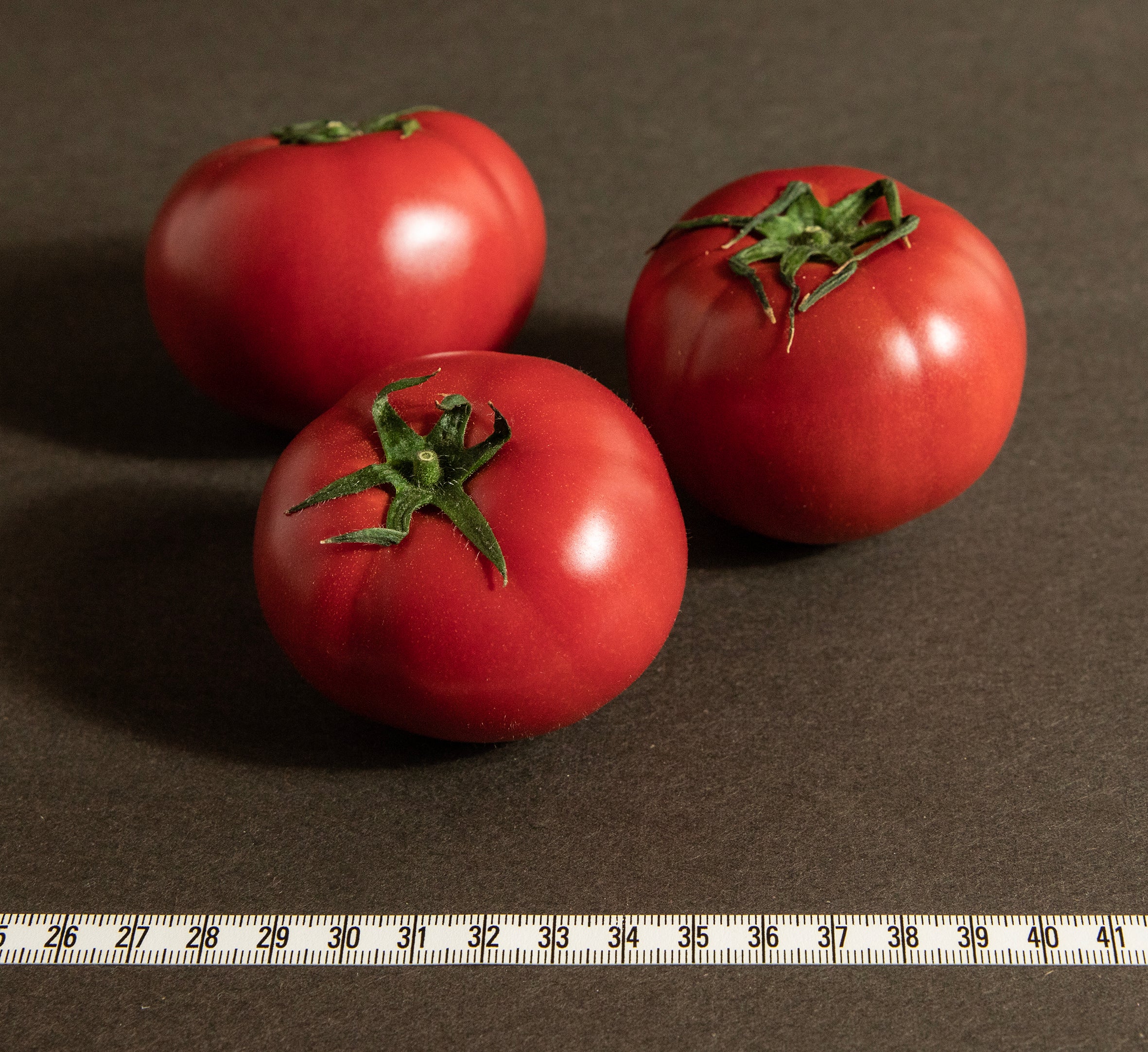 とまと 匠トマト – トマ人 | TOMAJIN