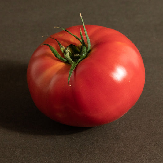 ひまわりトマト